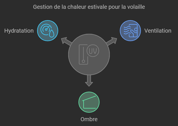 Défis saisonniers en élevage de poules : comment les surmonter pour un poulailler épanoui