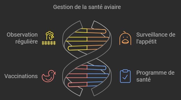 Défis saisonniers en élevage de poules : comment les surmonter pour un poulailler épanoui
