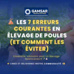 Les 7 erreurs courantes en élevage de poules (et comment les éviter)